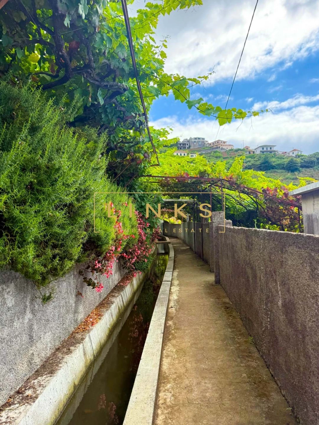 Moradia T3 para Venda em Estreito de Camara de Lobos Foto 23