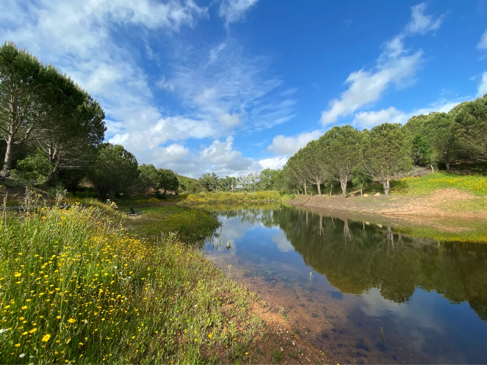 Quinta T1 para Venda em São Martinho das Amoreiras Foto 12