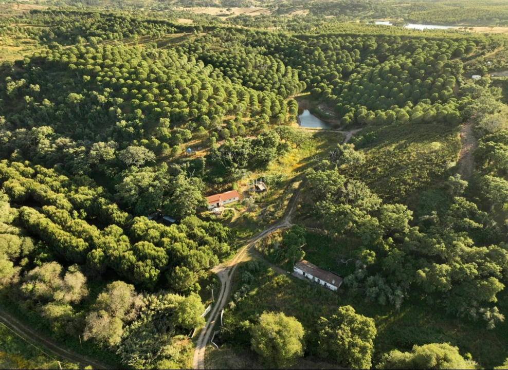 Quinta T1 para Venda em São Martinho das Amoreiras Foto 2
