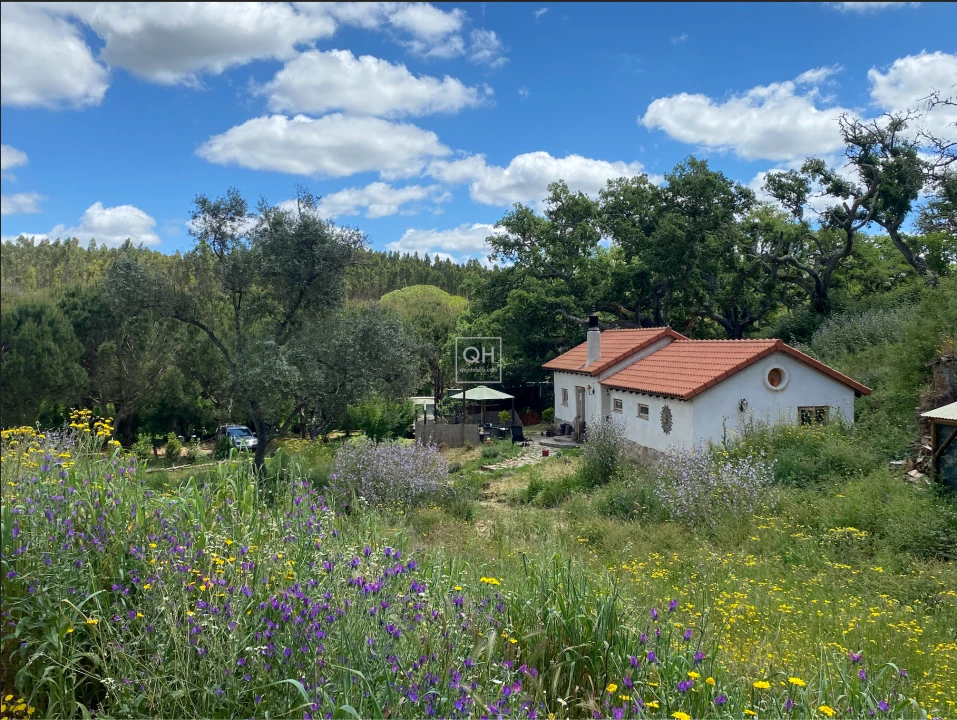 Quinta T1 para Venda em São Martinho das Amoreiras Foto 1