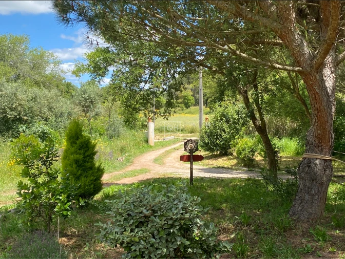 Quinta T1 para Venda em São Martinho das Amoreiras Foto 10