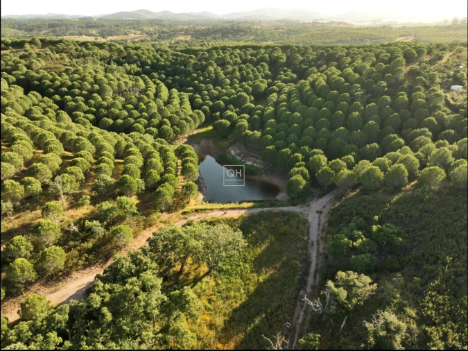Quinta T1 para Venda em São Martinho das Amoreiras Foto 17
