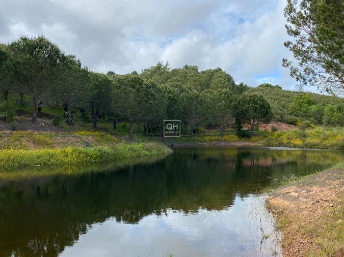 Quinta T1 para Venda em São Martinho das Amoreiras Foto 13