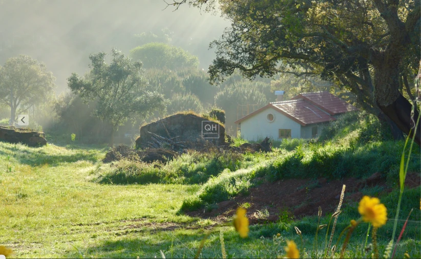 Quinta T1 para Venda em São Martinho das Amoreiras Foto 3