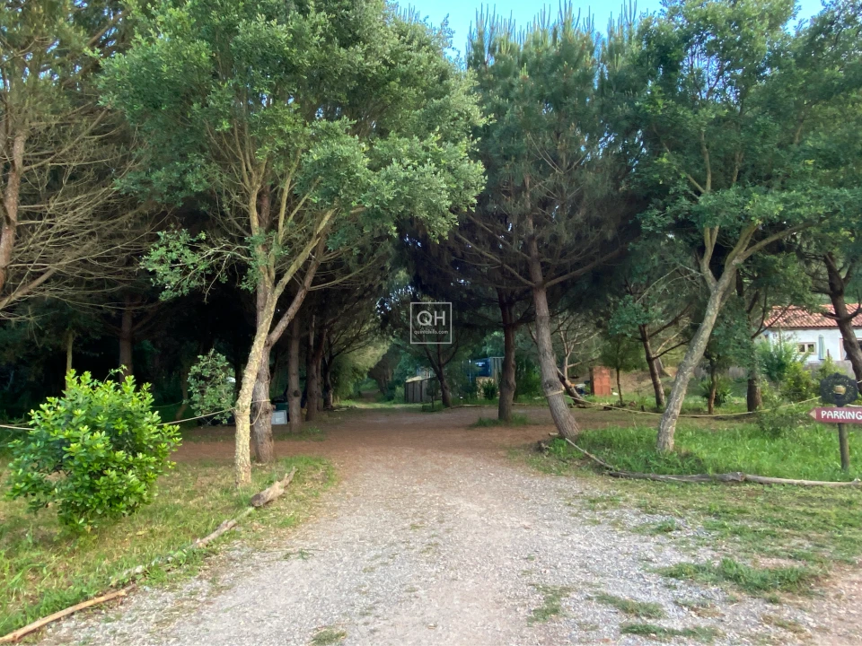 Quinta T1 para Venda em São Martinho das Amoreiras Foto 11