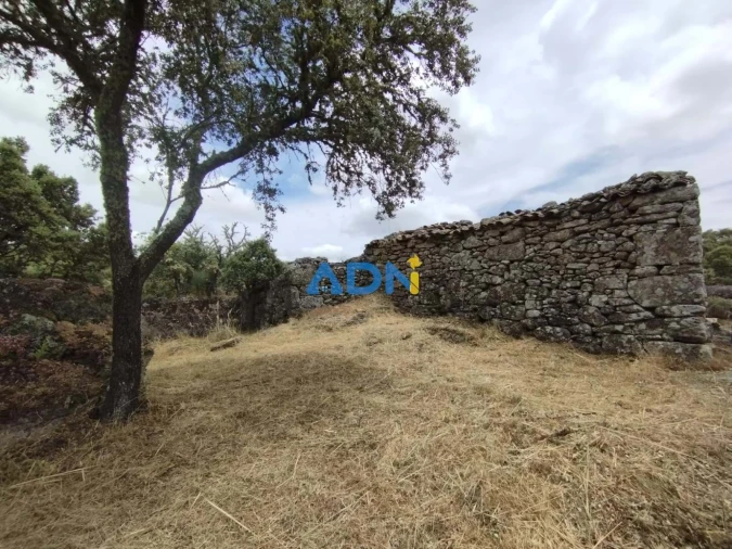 Terreno para Venda em Castelo Mendo, Ade, Monteperobolso e Mesquitela Foto 2