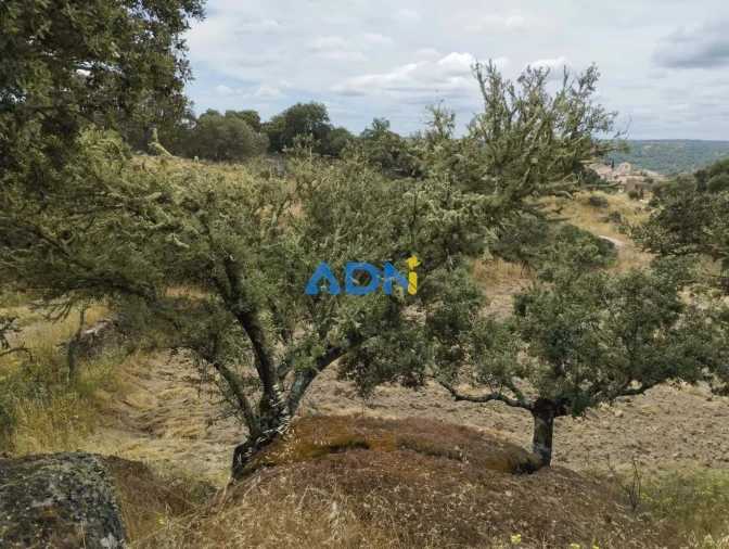 Terreno para Venda em Castelo Mendo, Ade, Monteperobolso e Mesquitela Foto 3