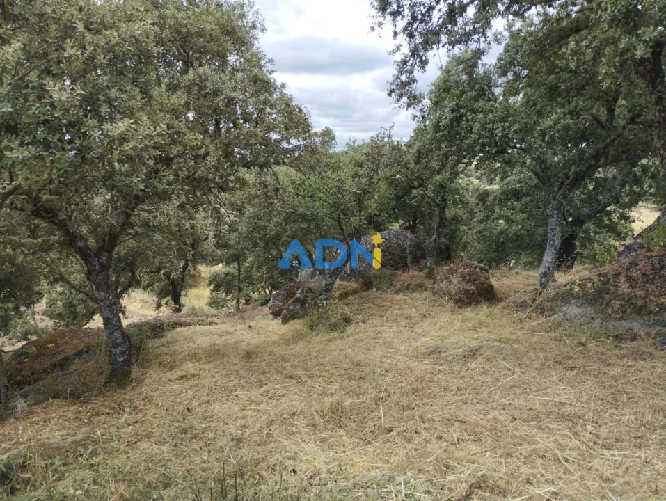 Terreno para Venda em Castelo Mendo, Ade, Monteperobolso e Mesquitela Foto 6