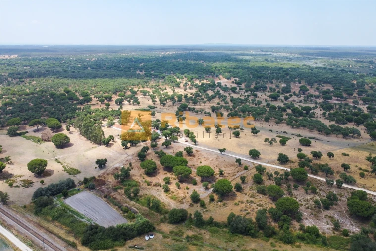 Moradia T3 para Venda em Coruche, Fajarda e Erra Foto 37