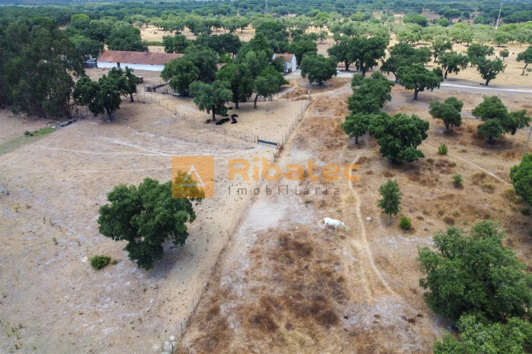 Moradia T3 para Venda em Coruche, Fajarda e Erra Foto 38