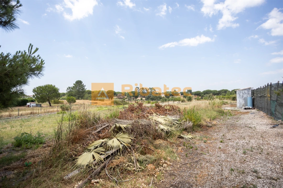 Moradia T3 para Venda em Coruche, Fajarda e Erra Foto 34