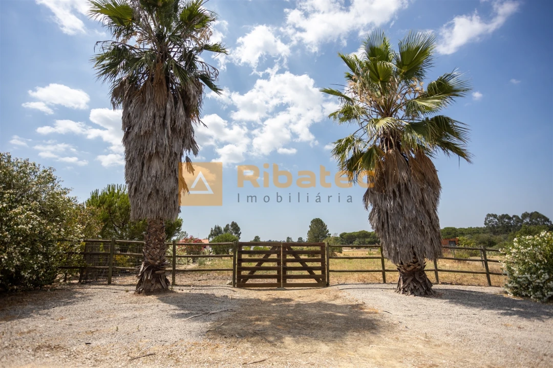 Moradia T3 para Venda em Coruche, Fajarda e Erra Foto 32