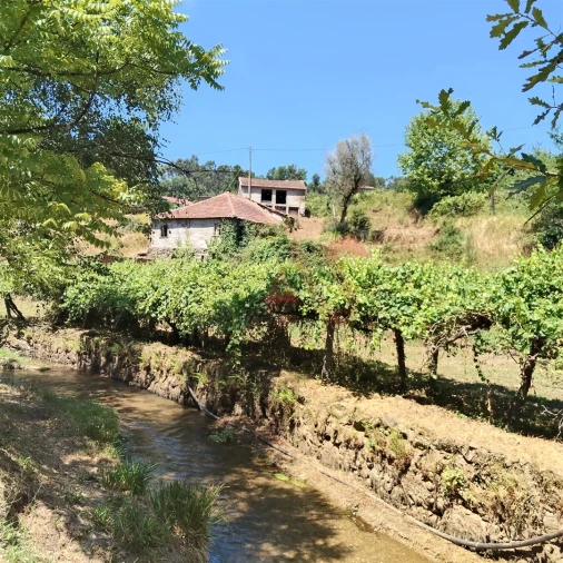 Moradia T4 para Venda em Vila Cova da Lixa e Borba de Godim Foto 5