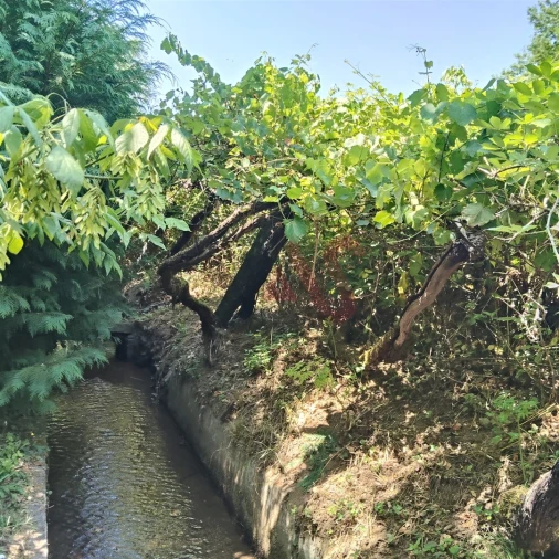 Moradia T4 para Venda em Vila Cova da Lixa e Borba de Godim Foto 12