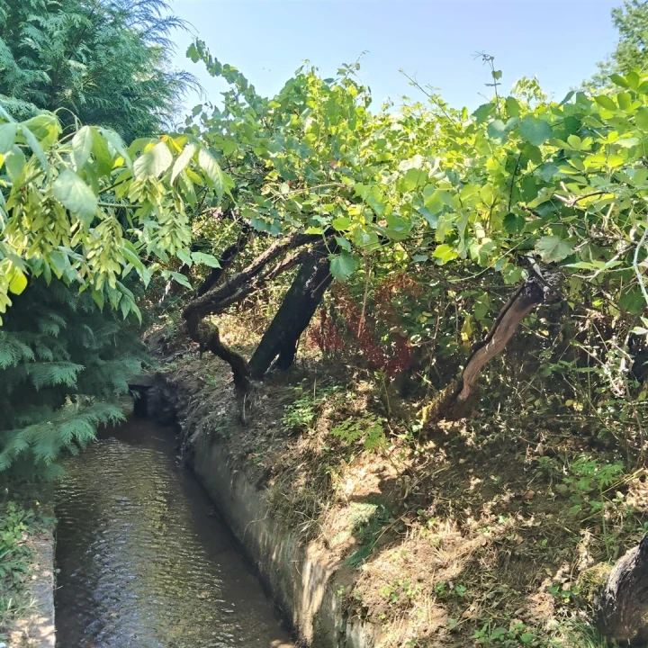 Moradia T4 para Venda em Vila Cova da Lixa e Borba de Godim Foto 12