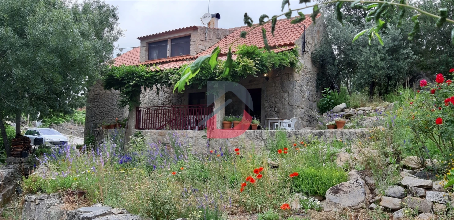 Quinta T3 para Venda em Alcains Foto 12