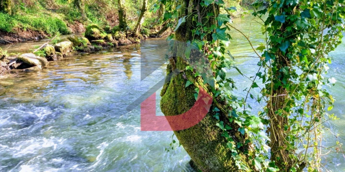 Quinta T3 para Venda em Alcains Foto 36