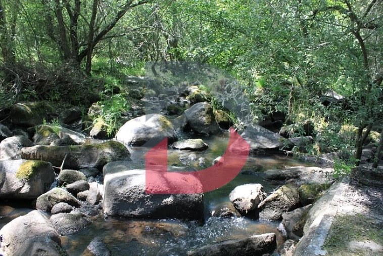 Quinta T3 para Venda em Alcains Foto 34