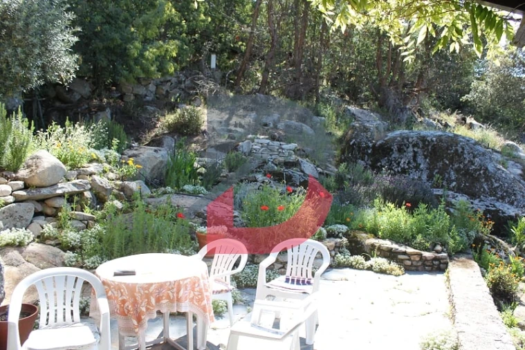 Quinta T3 para Venda em Alcains Foto 18