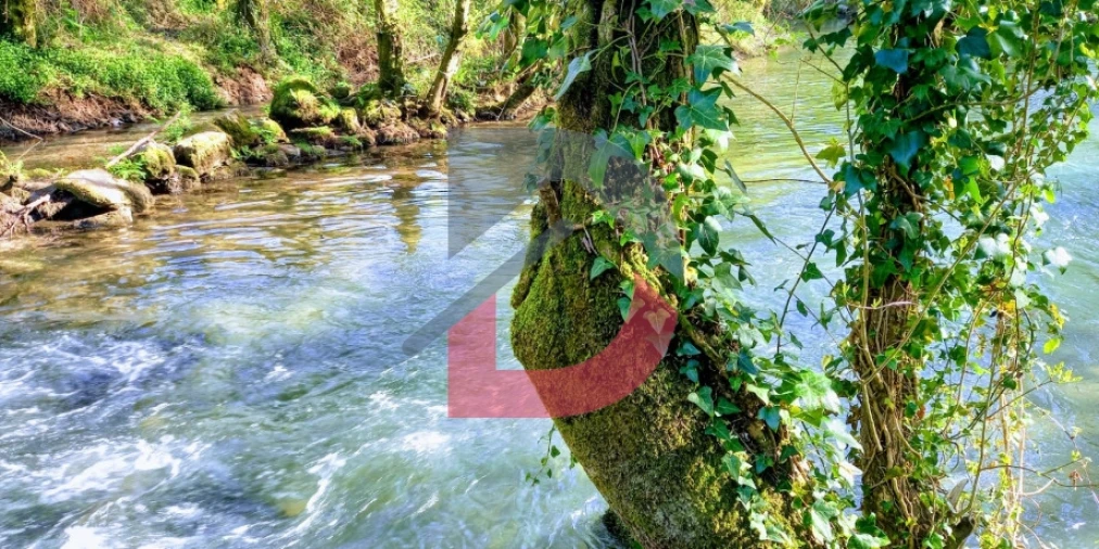 Quinta T3 para Venda em Alcains Foto 36