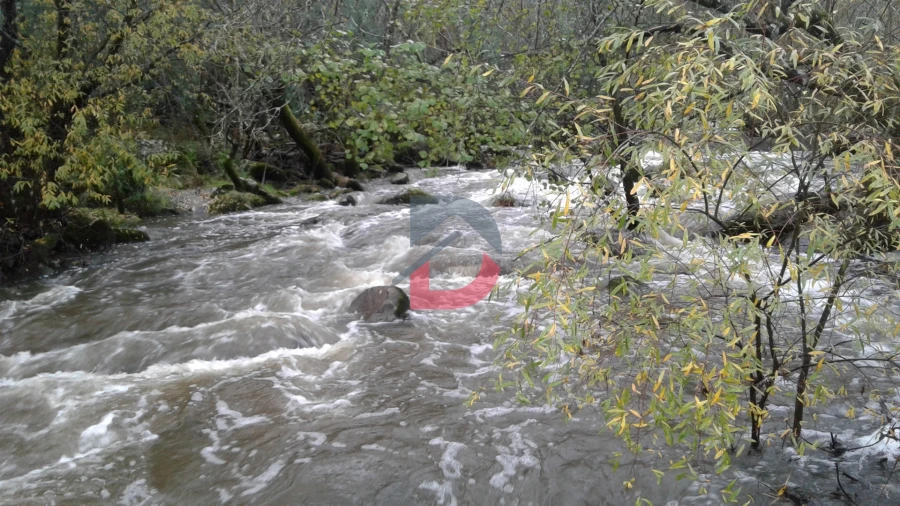 Quinta T3 para Venda em Alcains Foto 32