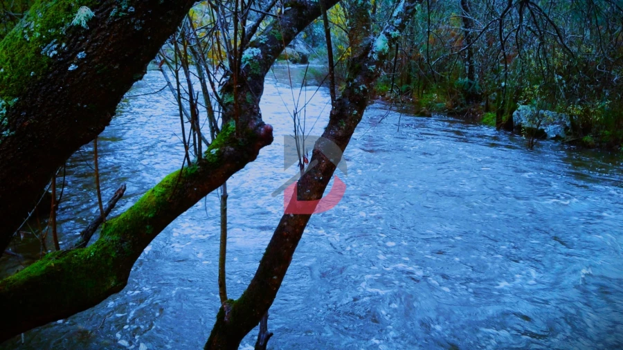 Quinta T3 para Venda em Alcains Foto 37