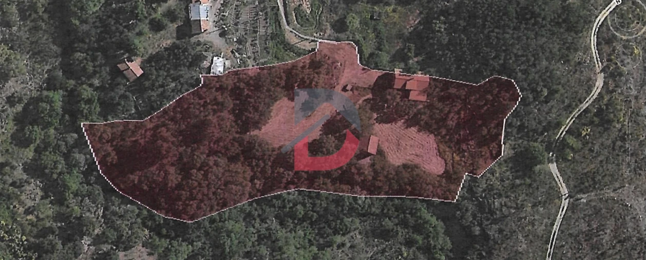 Quinta T3 para Venda em Alcains Foto 39