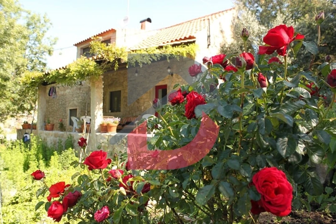 Quinta T3 para Venda em Alcains Foto 17