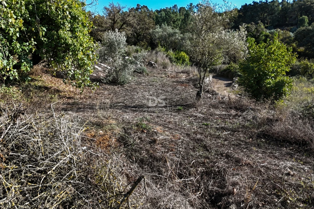 Moradia T2 para Venda em Aljubarrota Foto 29