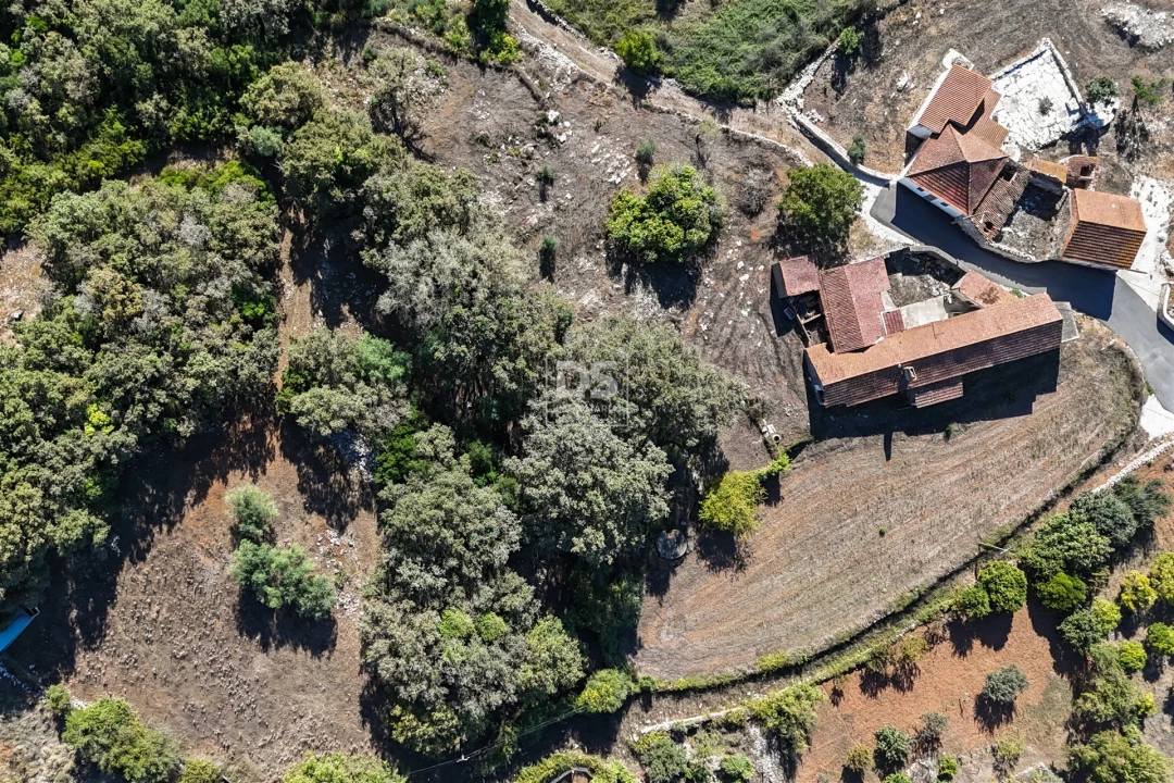 Moradia T2 para Venda em Aljubarrota Foto 23