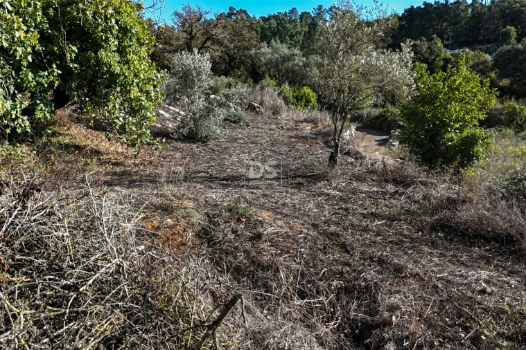 Moradia T2 para Venda em Aljubarrota Foto 29