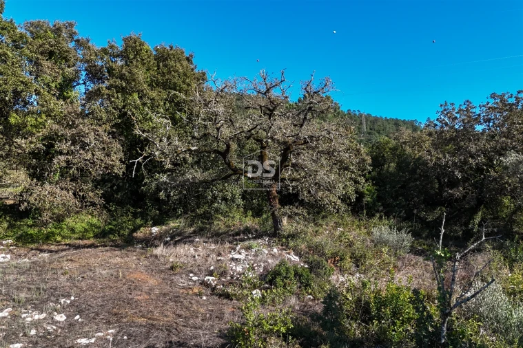 Moradia T2 para Venda em Aljubarrota Foto 30