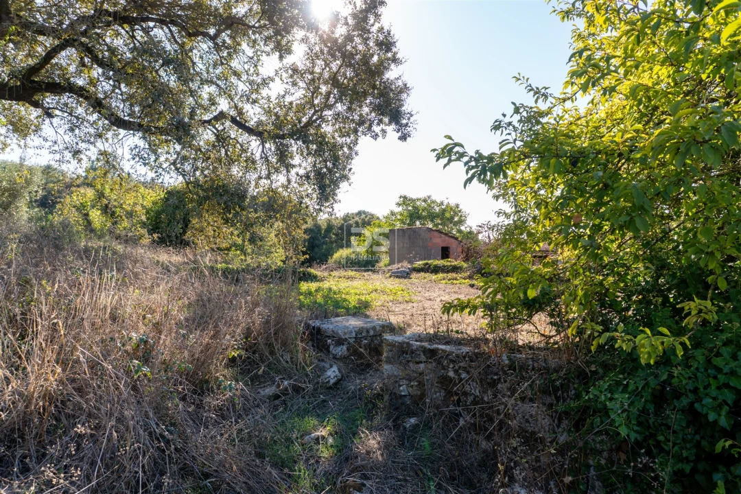 Moradia T2 para Venda em Aljubarrota Foto 36