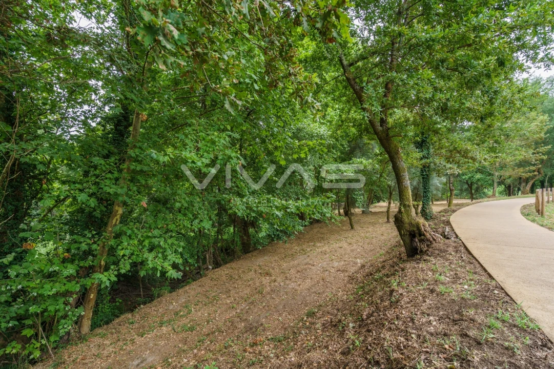 Terreno Agricola ou Rústico para Venda em Soutelo Foto 14