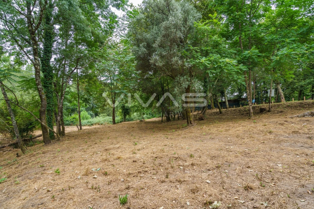 Terreno Agricola ou Rústico para Venda em Soutelo Foto 21