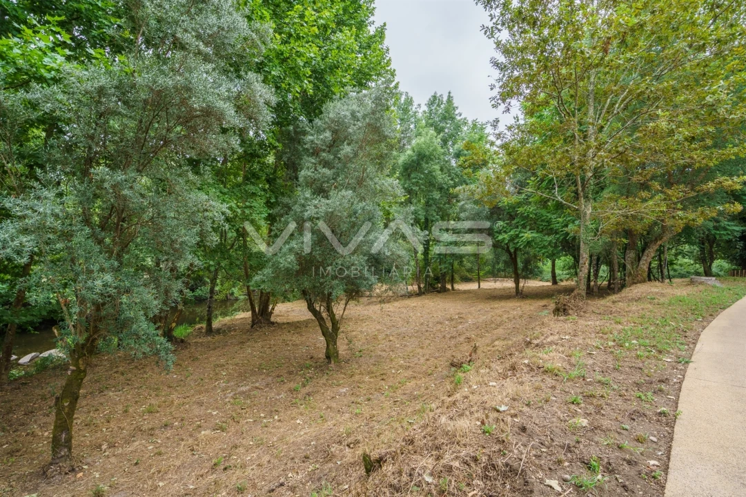 Terreno Agricola ou Rústico para Venda em Soutelo Foto 16