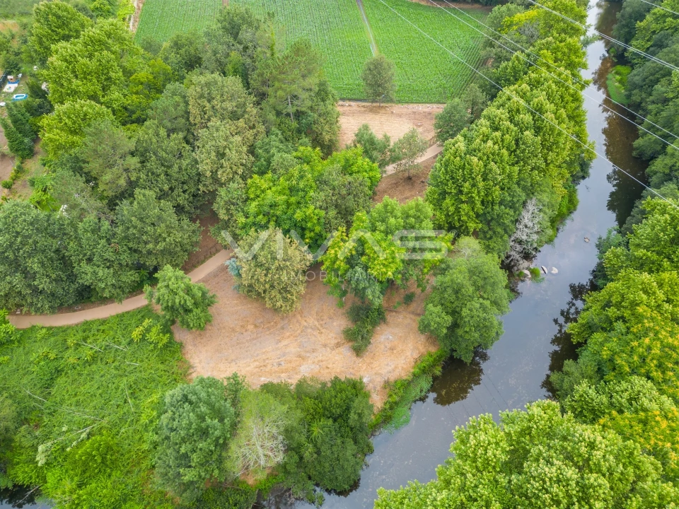 Terreno Agricola ou Rústico para Venda em Soutelo Foto 4