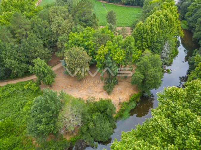 Terreno Agricola ou Rústico para Venda em Soutelo Foto 5