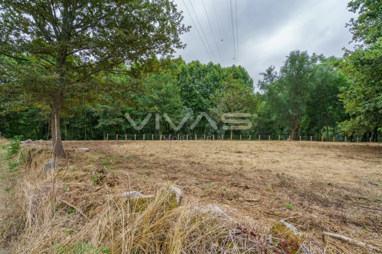 Terreno Agricola ou Rústico para Venda em Soutelo Foto 11