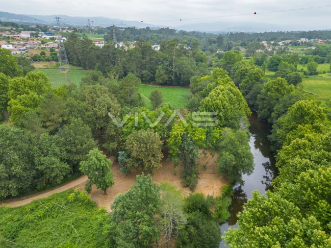 Terreno Agricola ou Rústico para Venda em Soutelo Foto 1