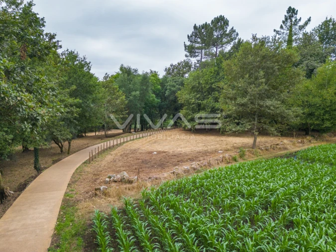 Terreno Agricola ou Rústico para Venda em Soutelo Foto 10