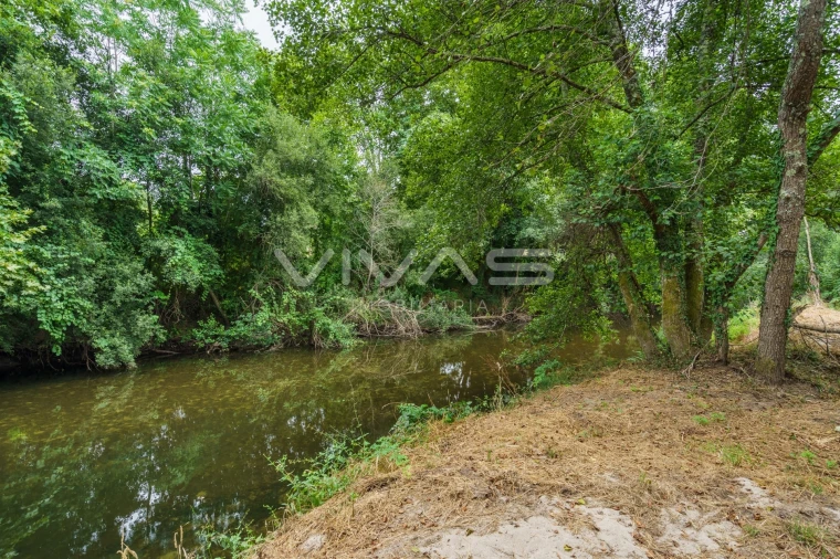 Terreno Agricola ou Rústico para Venda em Soutelo Foto 23