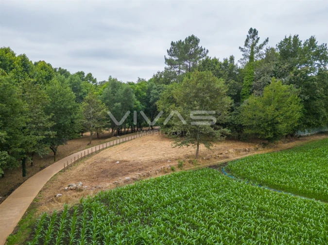 Terreno Agricola ou Rústico para Venda em Soutelo Foto 8