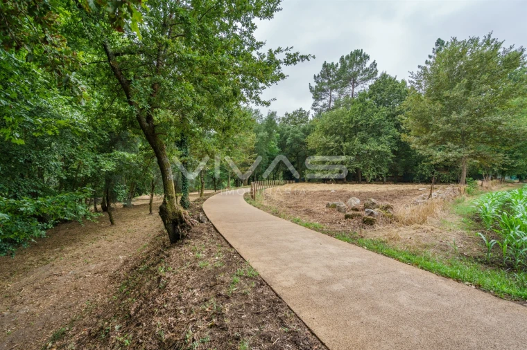 Terreno Agricola ou Rústico para Venda em Soutelo Foto 15
