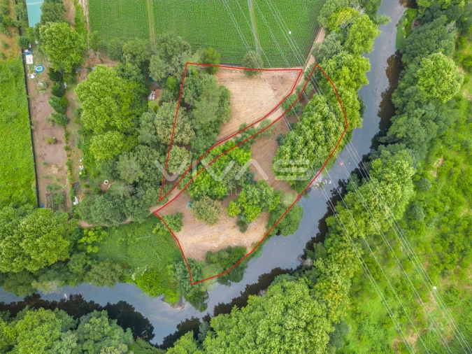 Terreno Agricola ou Rústico para Venda em Soutelo Foto 29