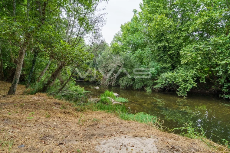 Terreno Agricola ou Rústico para Venda em Soutelo Foto 22