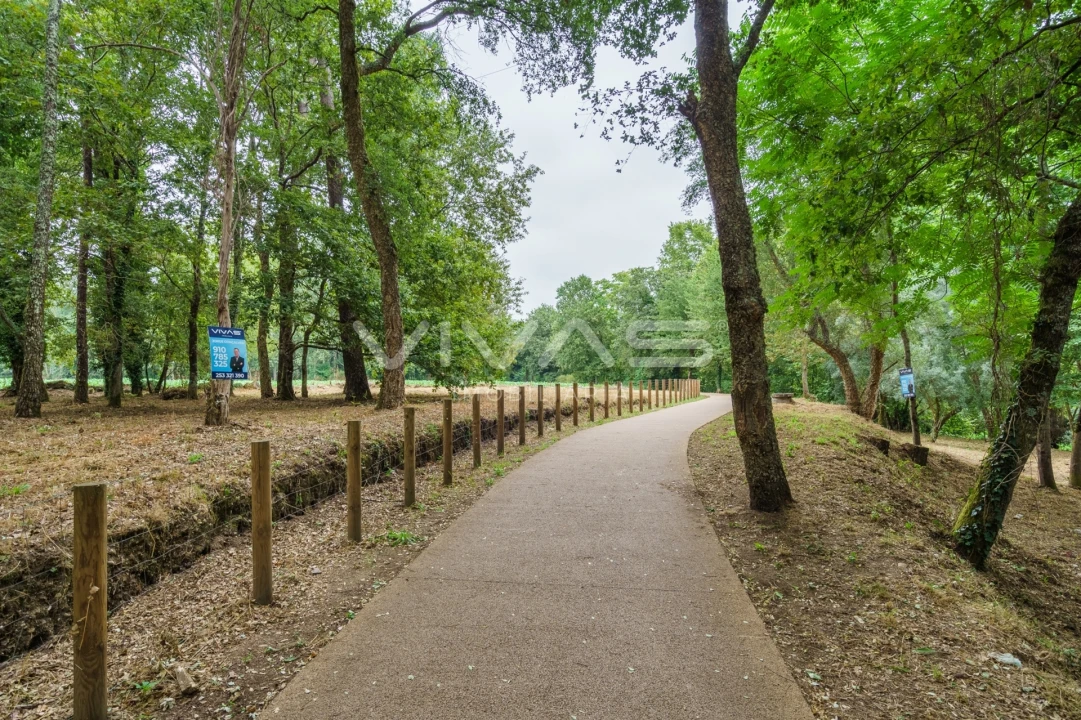 Terreno Agricola ou Rústico para Venda em Soutelo Foto 18