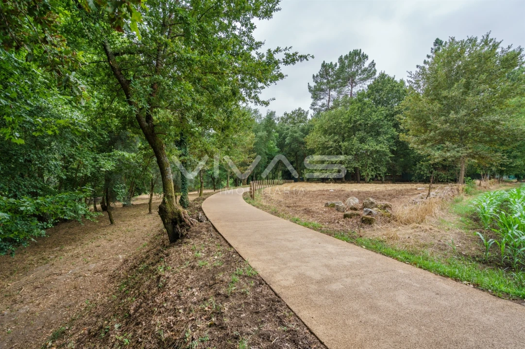 Terreno Agricola ou Rústico para Venda em Soutelo Foto 15