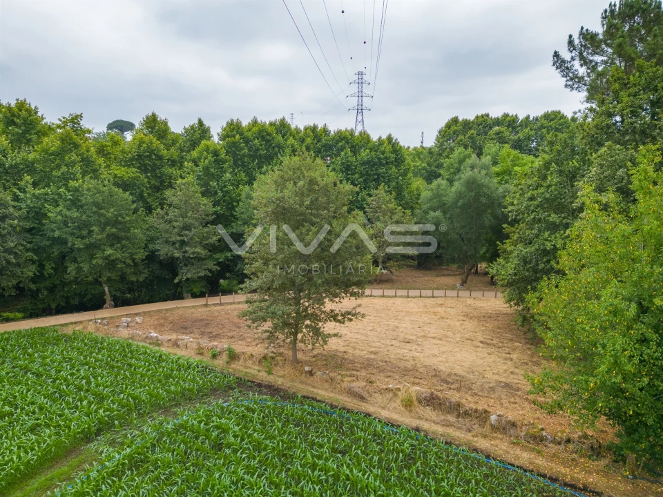 Terreno Agricola ou Rústico para Venda em Soutelo Foto 9