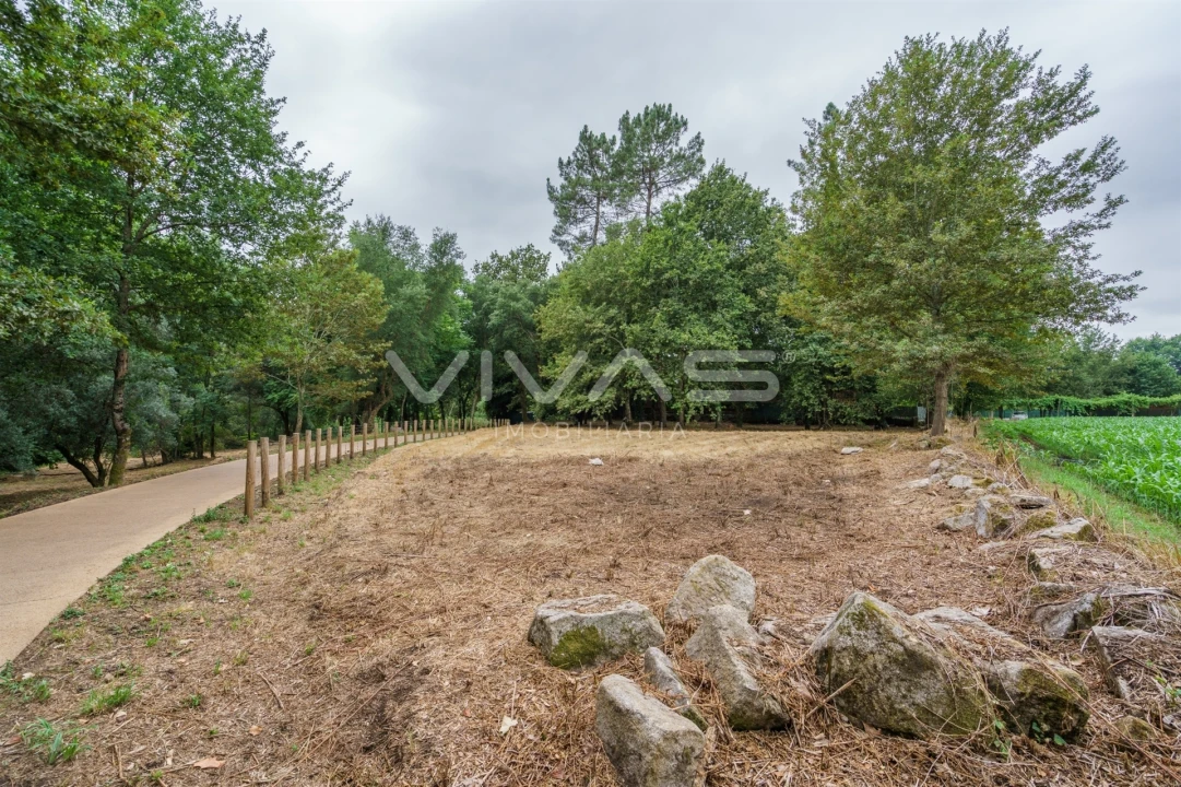 Terreno Agricola ou Rústico para Venda em Soutelo Foto 13